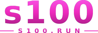 s100 logo